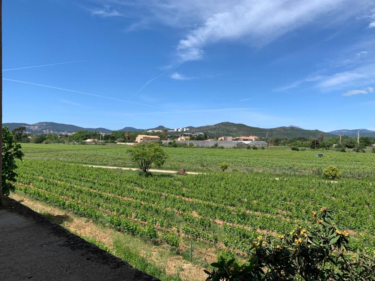 La Bastide des Anglades Villa Hyères Exterior foto