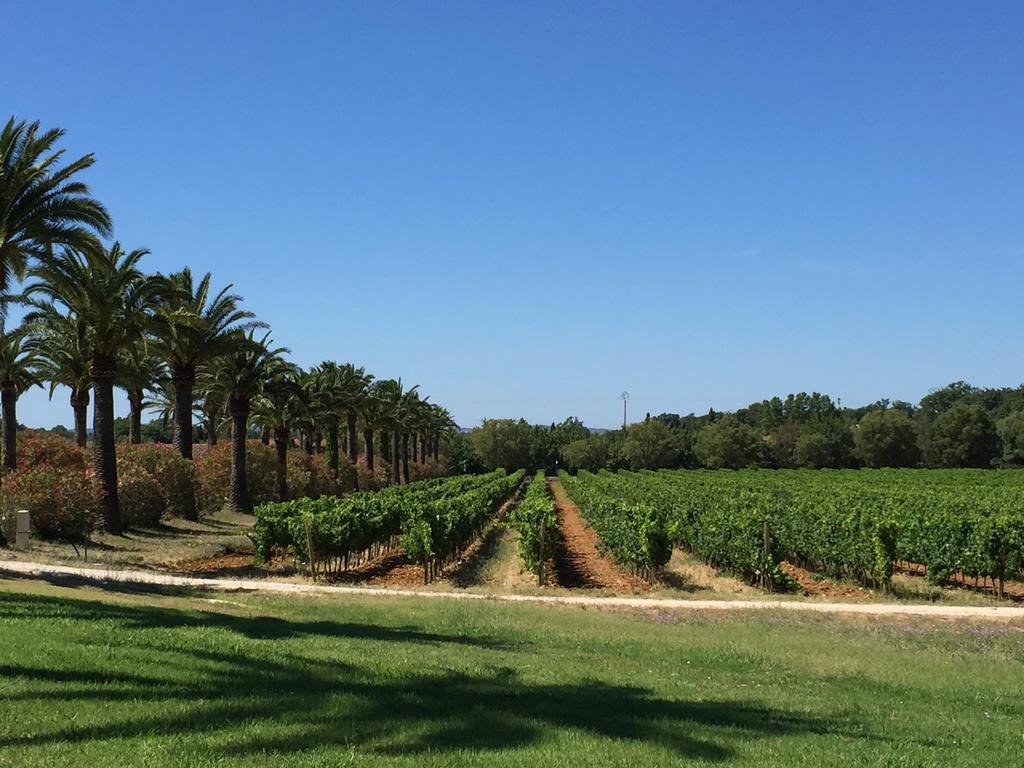 La Bastide des Anglades Villa Hyères Exterior foto