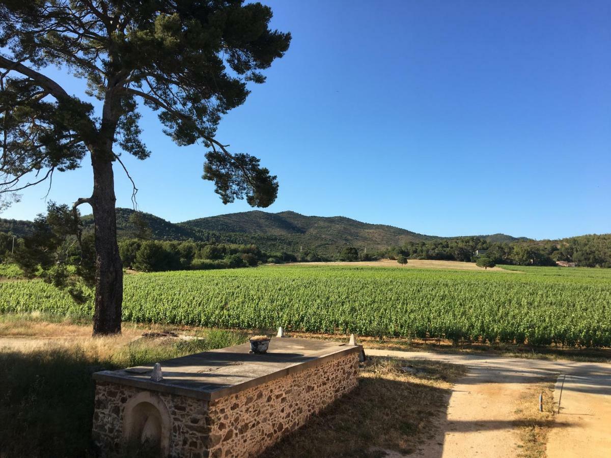 La Bastide des Anglades Villa Hyères Exterior foto